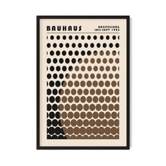 Solar Mesh — Bruin
