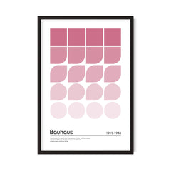 Shape Gradient — Rosa