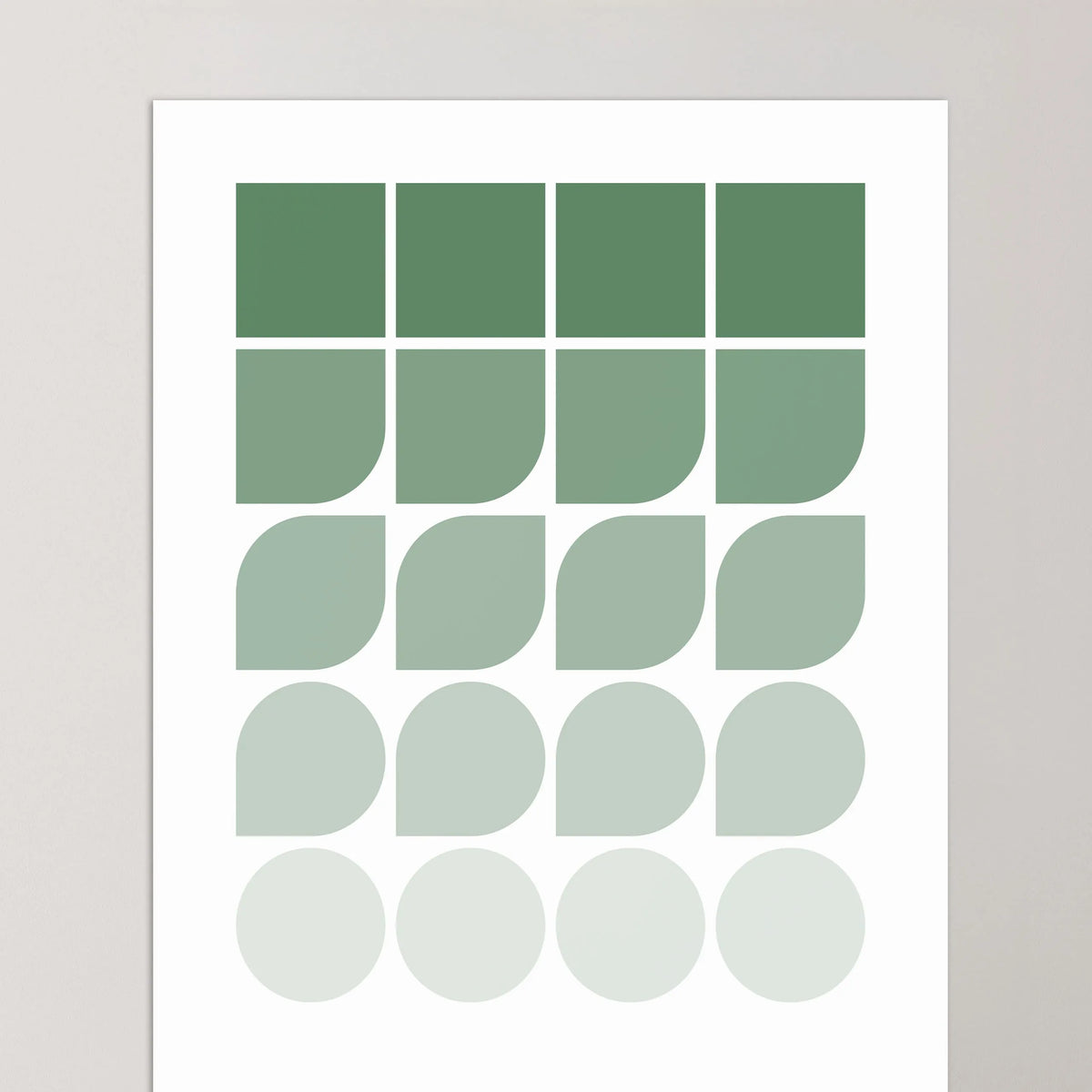 Shape Gradient