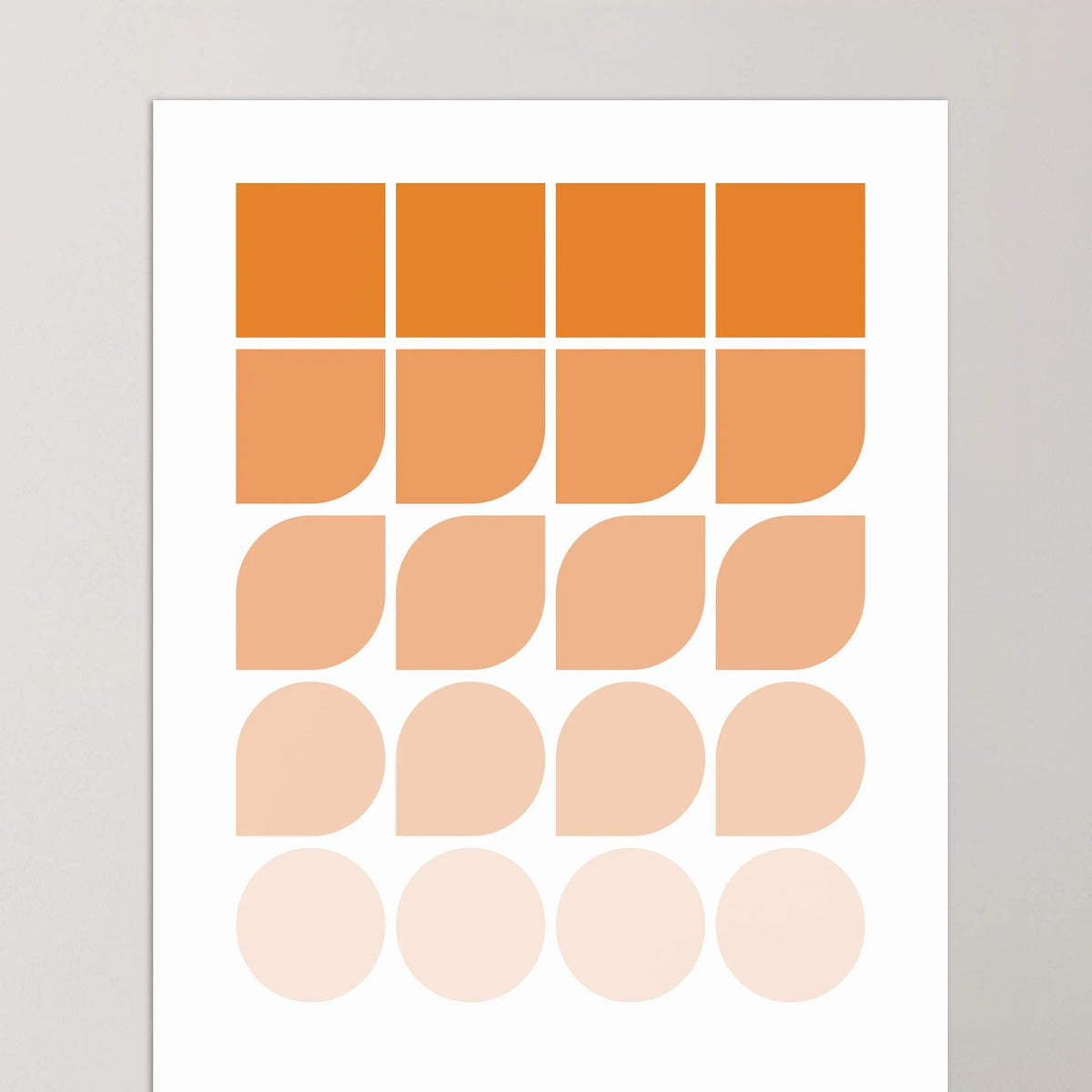 Shape Gradient