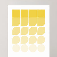 Shape Gradient