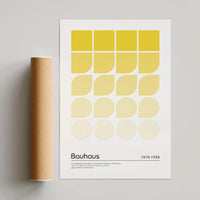 Shape Gradient